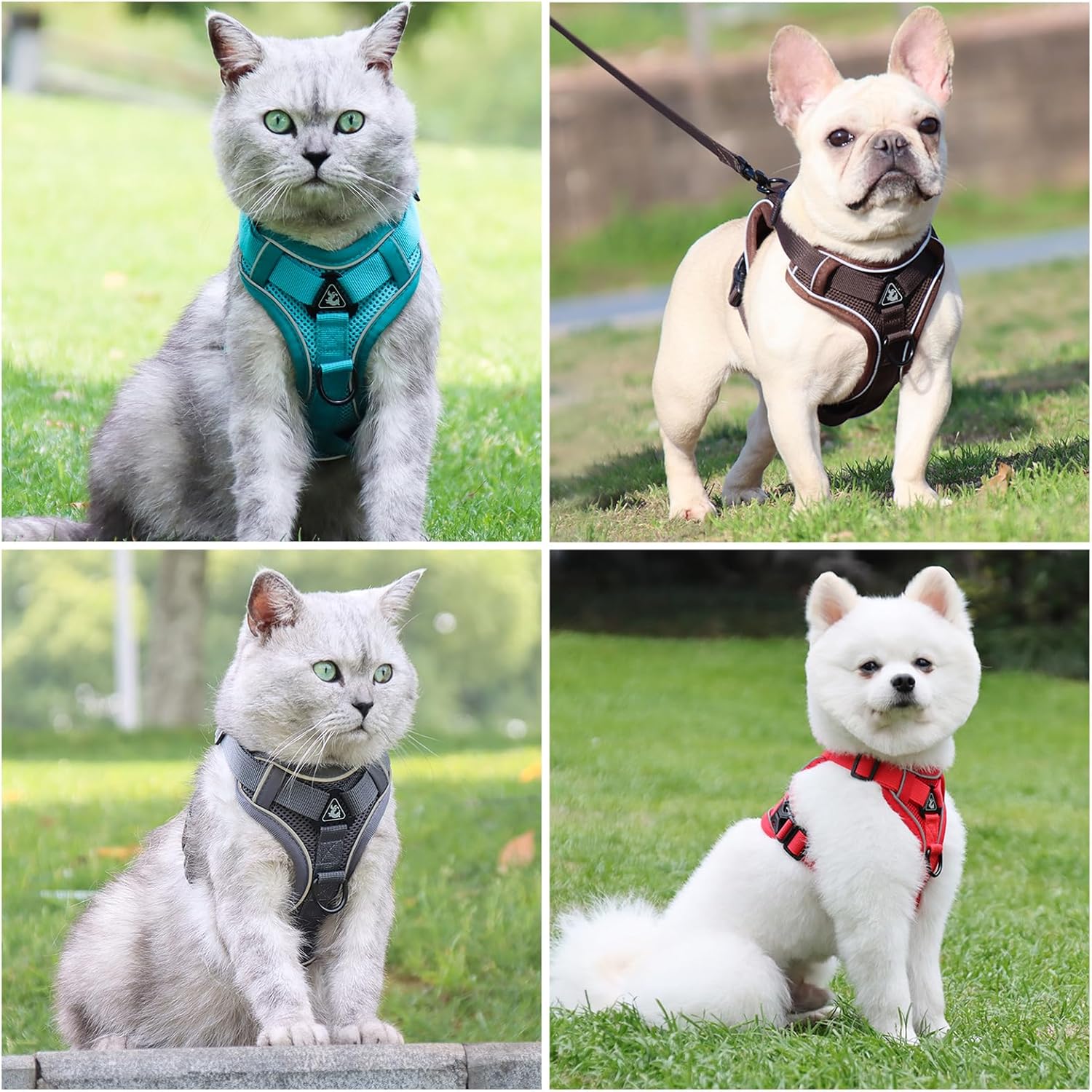 Luminescent reflective strips on premium outdoor cat harness