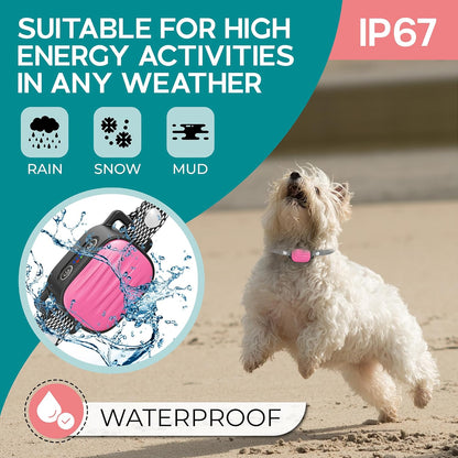 Close up of waterproof bark collar sensor