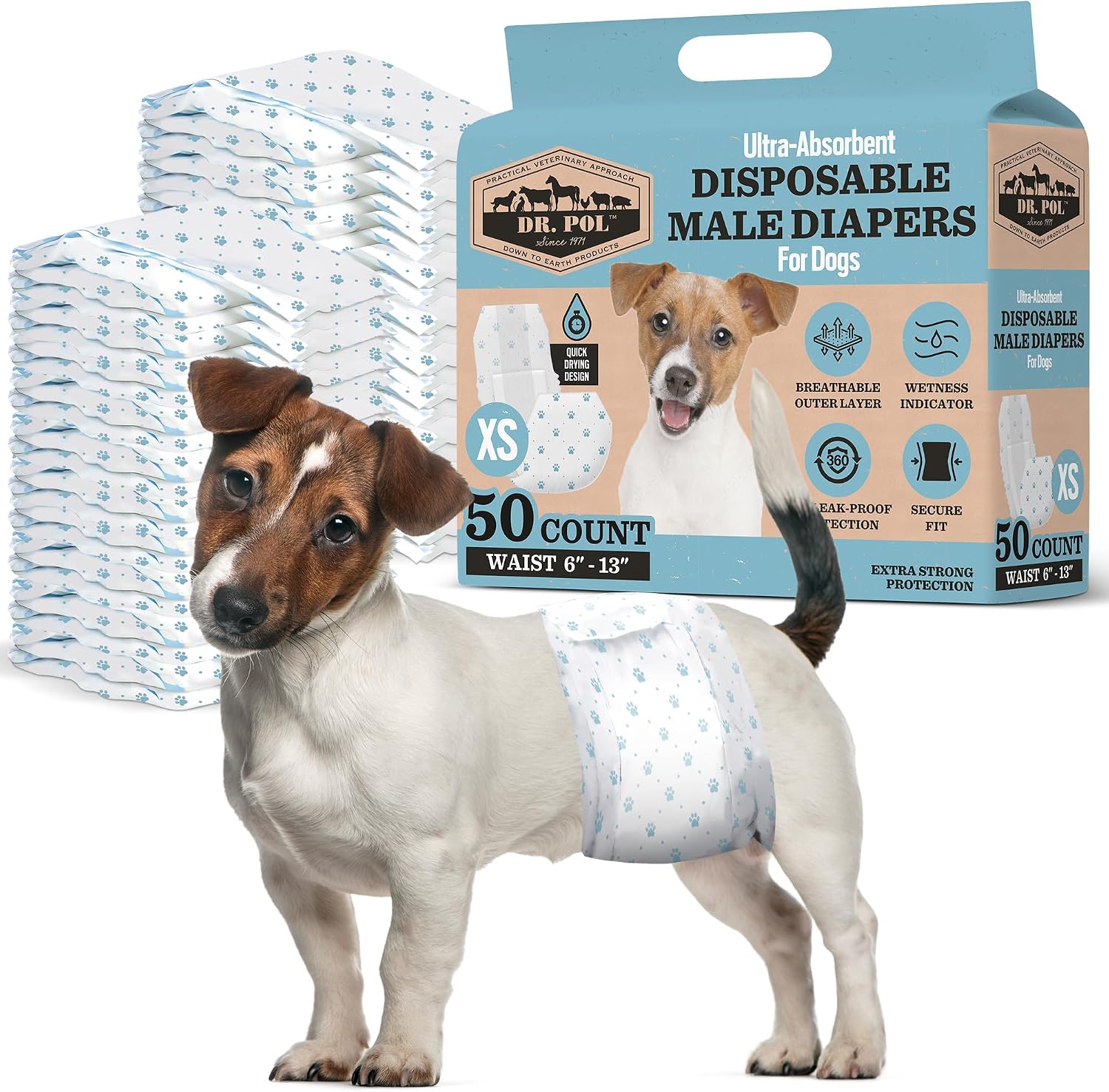 Sizing chart for Dr. Pol male dog diapers showing a twelve to nineteen inch waist range.