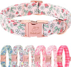 Yellow Daisy Dog Collar Cute Summer Dog Collars for Small Dogs - Lightweight Adjustable Girly Floral Female Dogs Everyday Collar with Safety Buckle S - Image 14