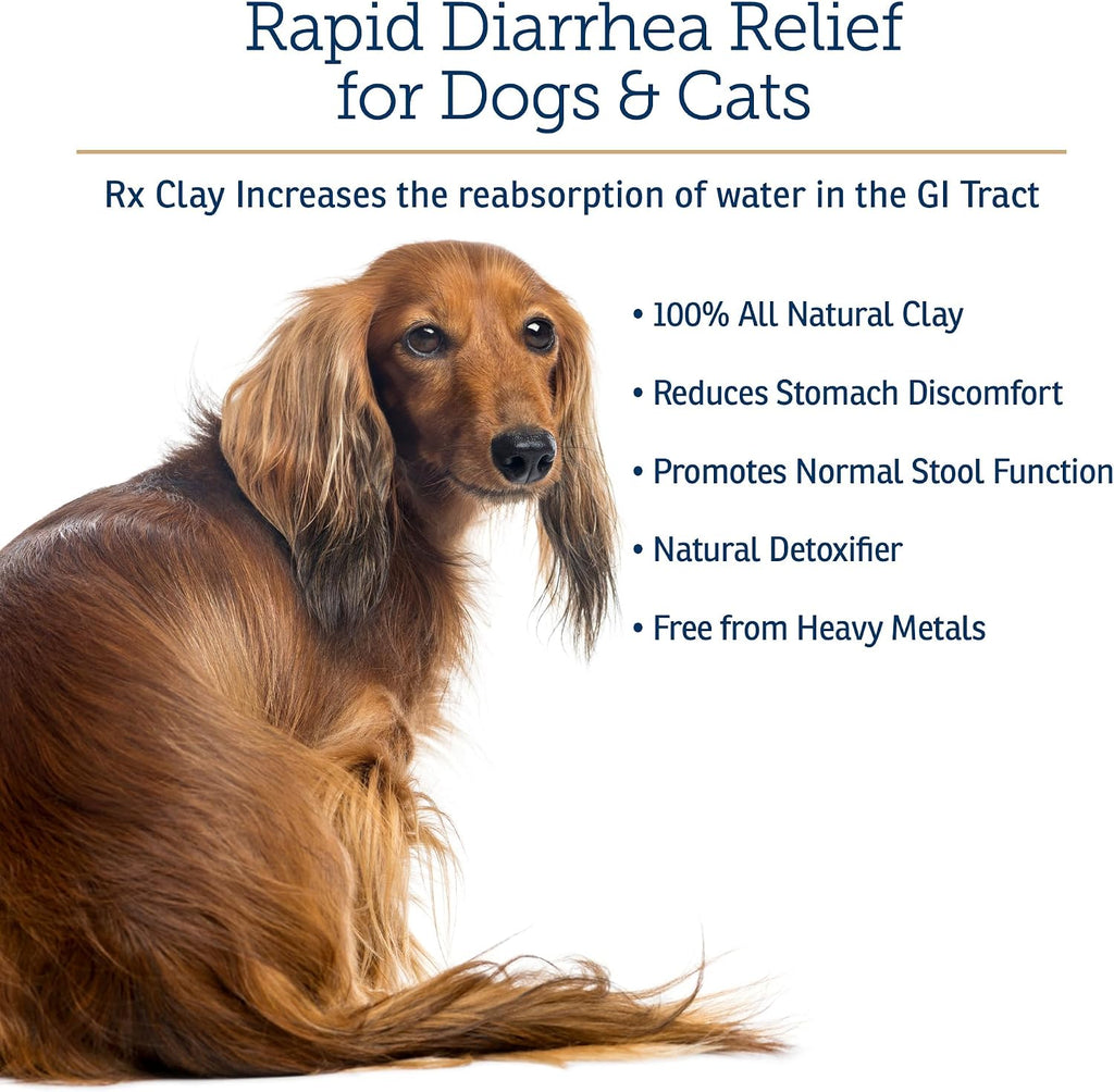 Back label of Rx Vitamins Rx Clay showing veterinary instructions