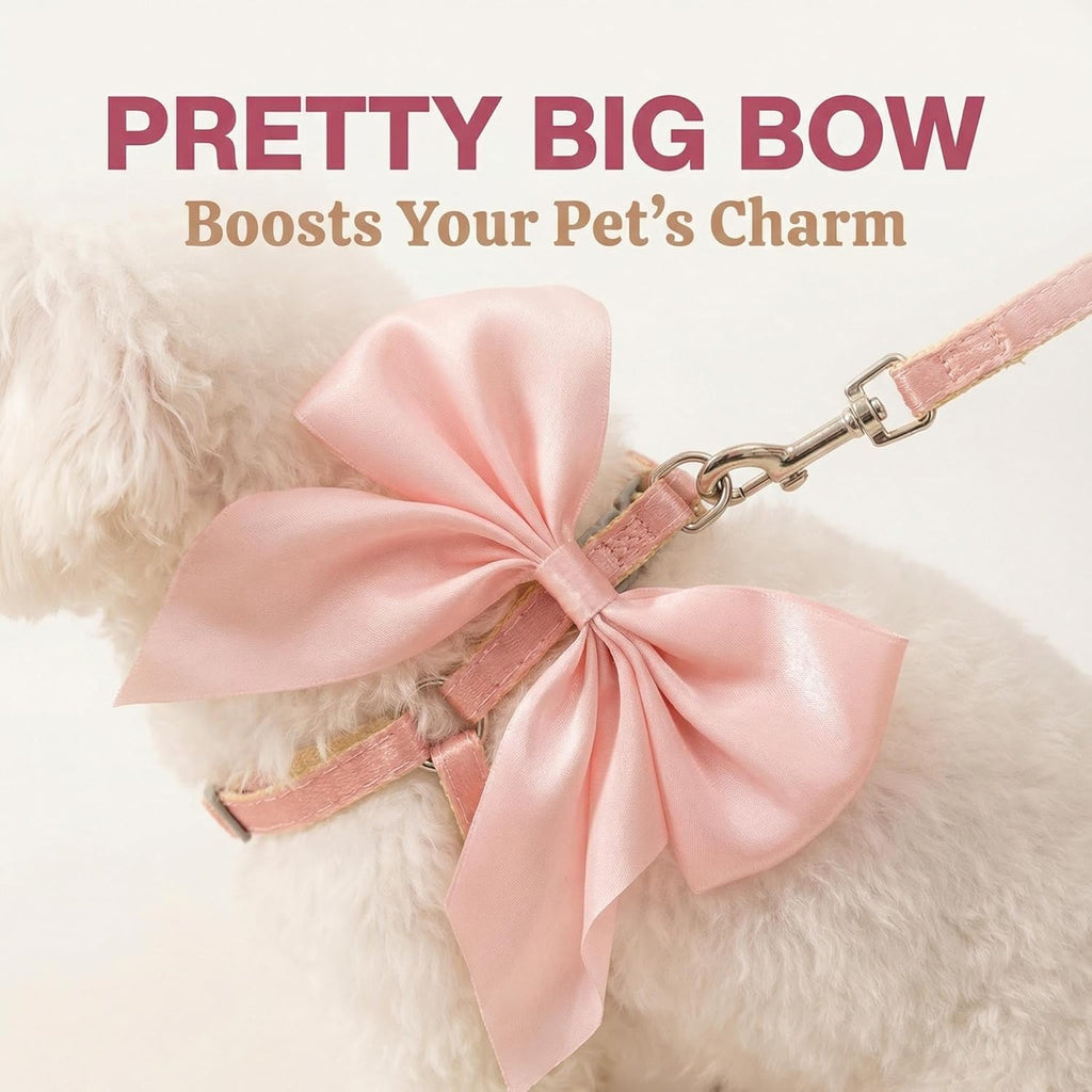 Small cat wearing pink bow harness and leash