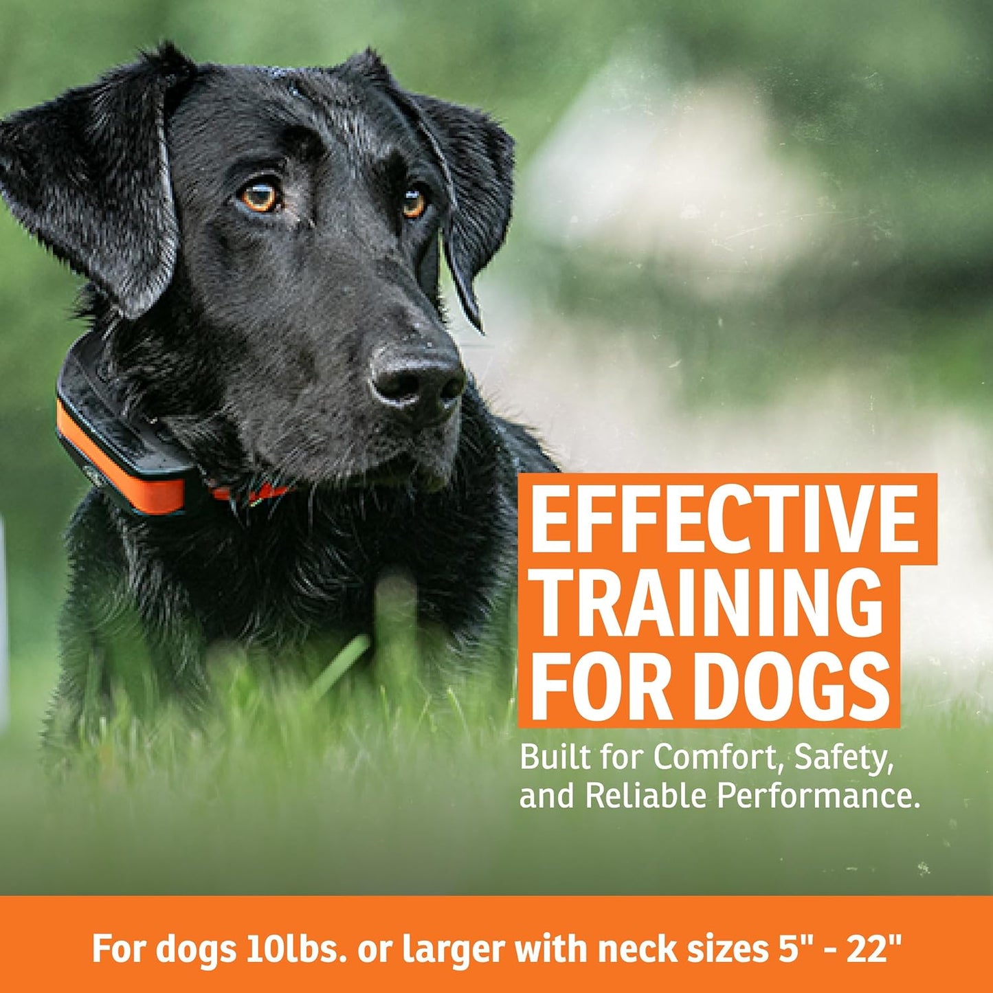 SportDOG brand electronic dog fence wall mount transmitter showing power indicator lights