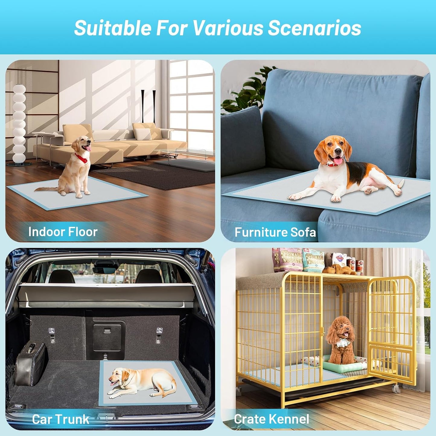 Super absorbent polymer turning liquid into gel on the pet training sheet surface