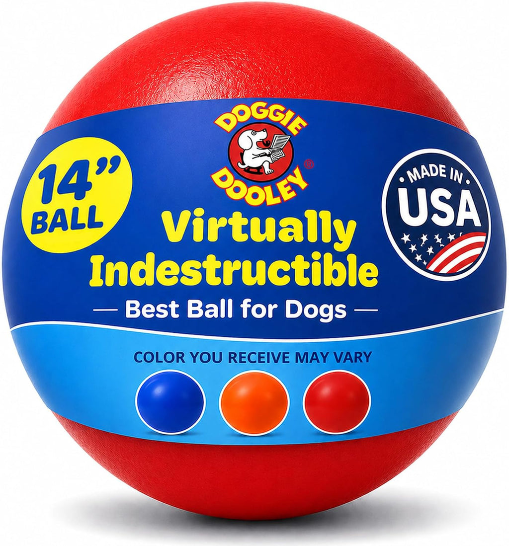 Doggie Dooley Virtually Indestructible Dog Ball - 10 Inch Hard Plastic Interactive Dog Toy for Large Breeds Over 45+ lbs - Built for Herding & Push Play - Floats in Water, Made in USA - Red - Image 12