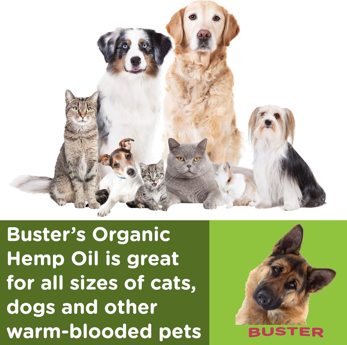 Vegan non GMO hemp oil packaging for separation anxiety relief