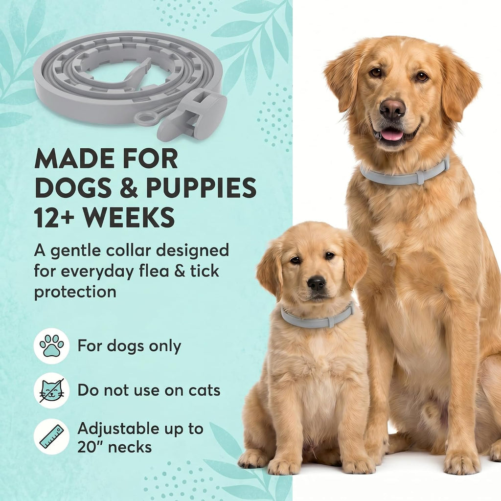 Side view of flea prevention collar on dog