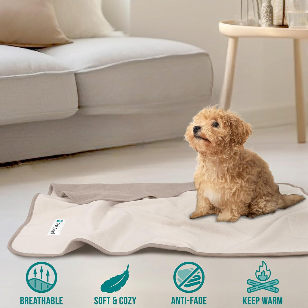 Small puppy resting comfortably on the soft taupe beige sherpa throw blanket.