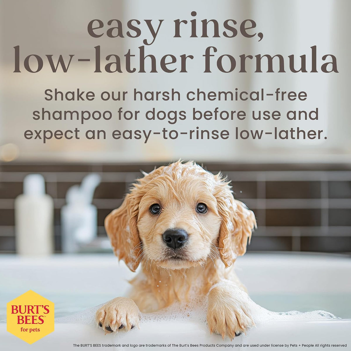 Close up of Burt's Bees 16 fluid ounce puppy shampoo packaging