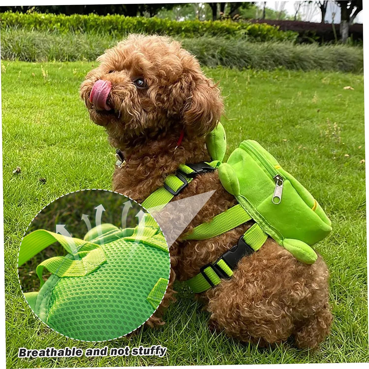 Stainless steel leash attachment D ring on turtle dog pack