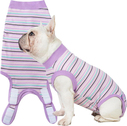 Sebidtco dog surgery recovery suit front view featuring the striped purple design on a puppy.
