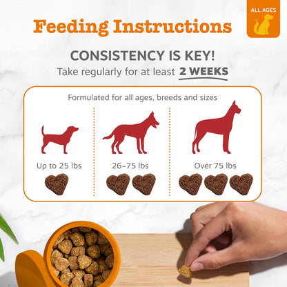 Zesty Paws eye moisture and vision support daily supplements for pets