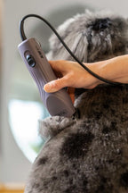 Wahl KM10 plus animal clipper being held to demonstrate the ergonomic and compact hand fit.