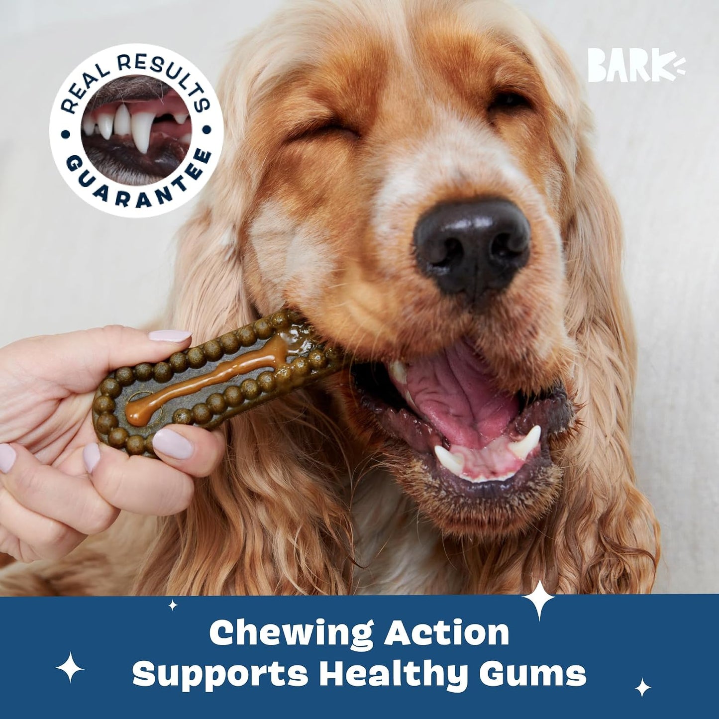 Close up of Barkbox Bright chew stick central groove