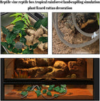 PINVNBY amphibian and reptile climbing decoration bundle