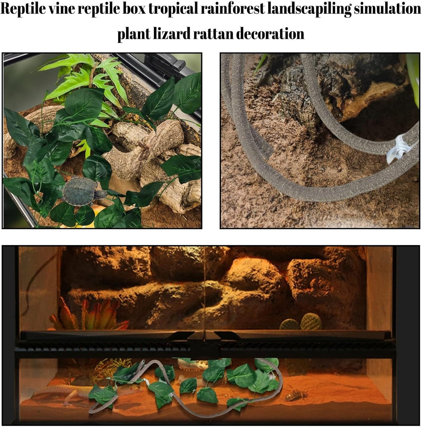 Close up view of the durable non toxic suction cups included in the PINVNBY reptile set
