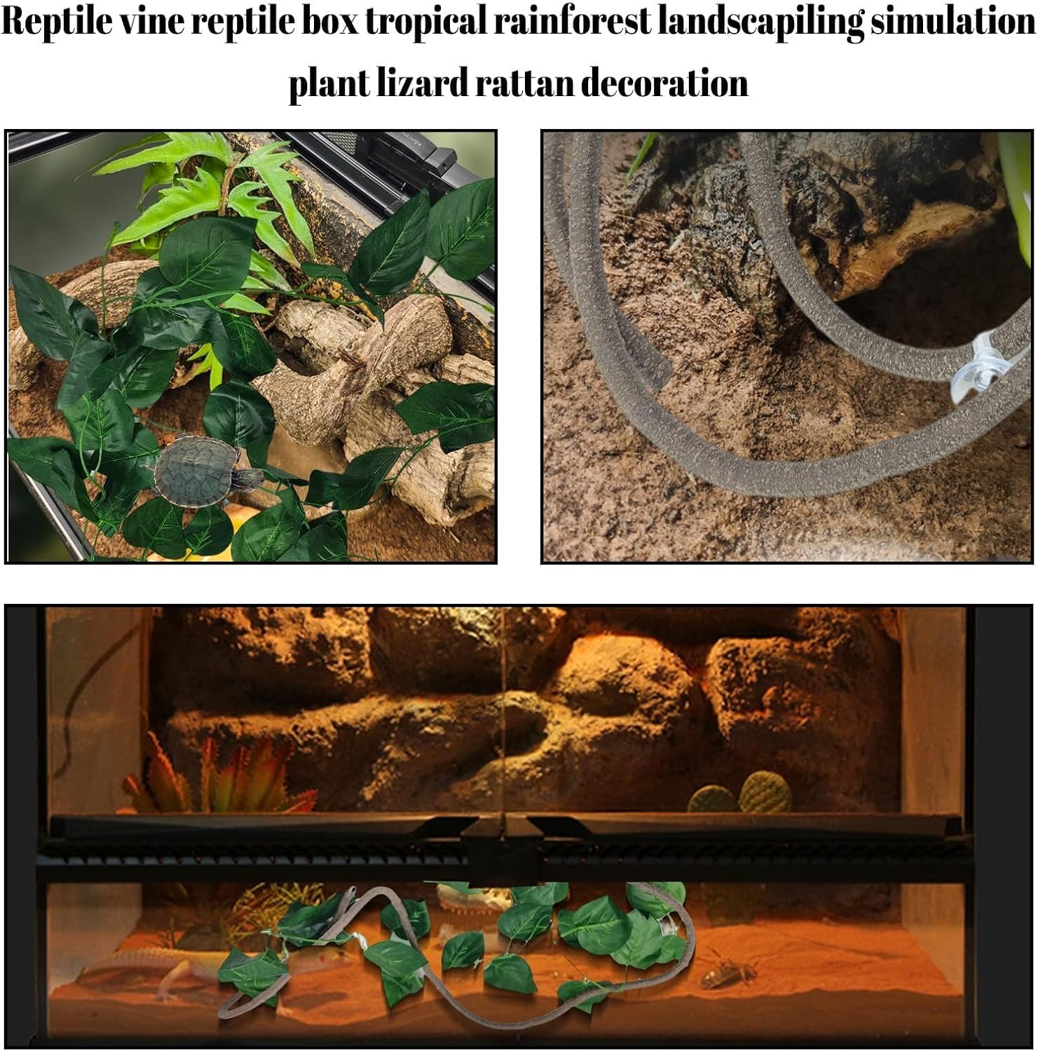 Close up view of the durable non toxic suction cups included in the PINVNBY reptile set