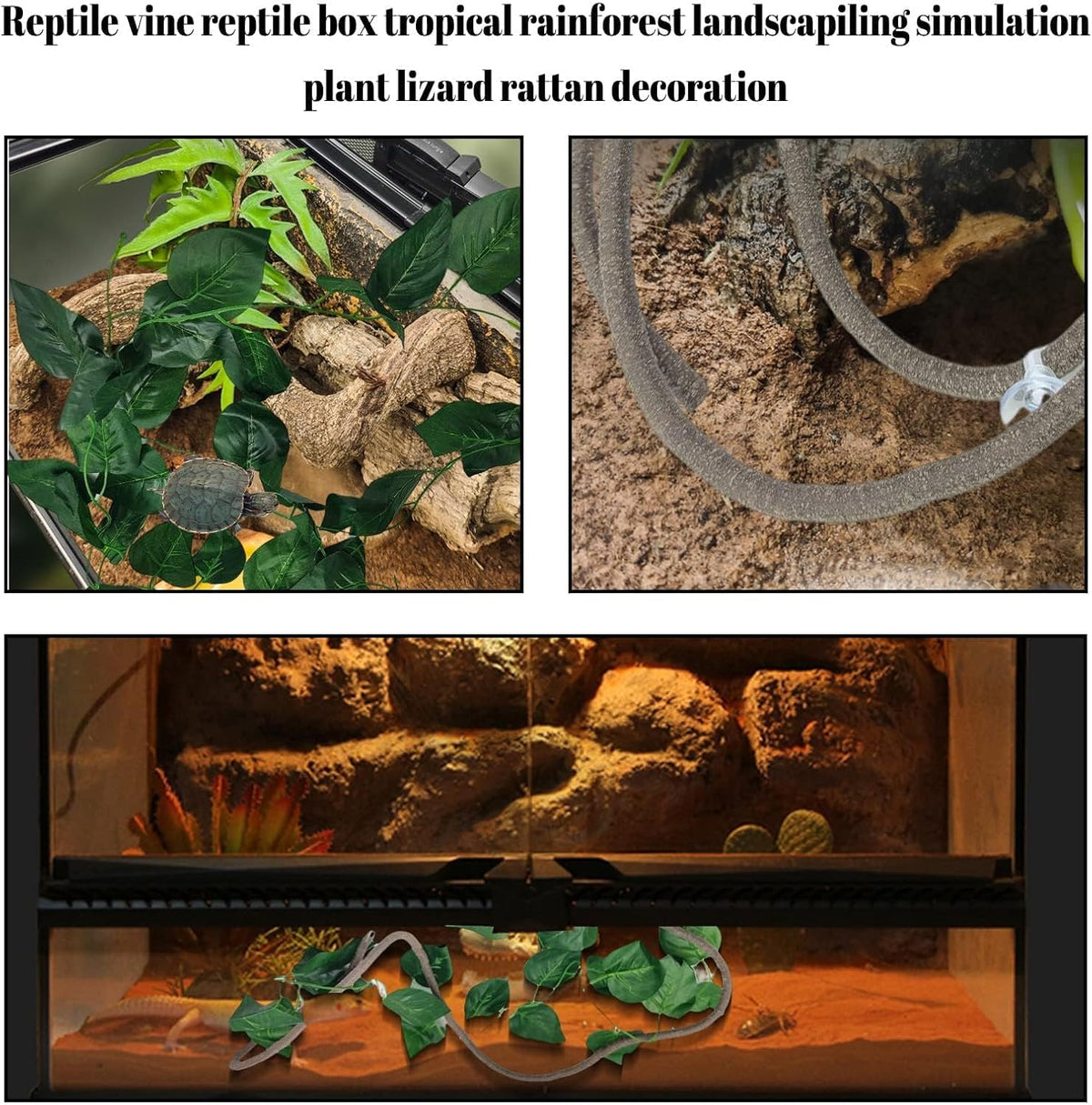 PINVNBY amphibian and reptile climbing decoration bundle