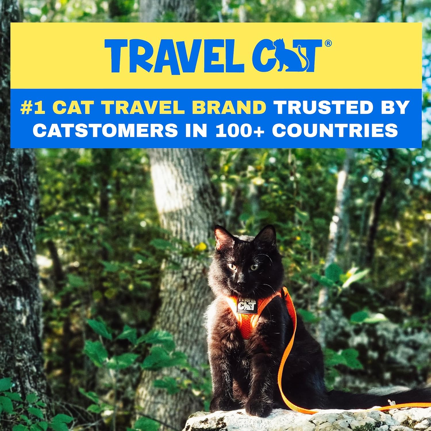 Two in one orange travel cat harness and matching leash set overview