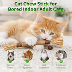 GBSYU Silvervine Sticks Cat Kitten Chew Toys for Indoor Cats Teeth Cleaning - Image 4