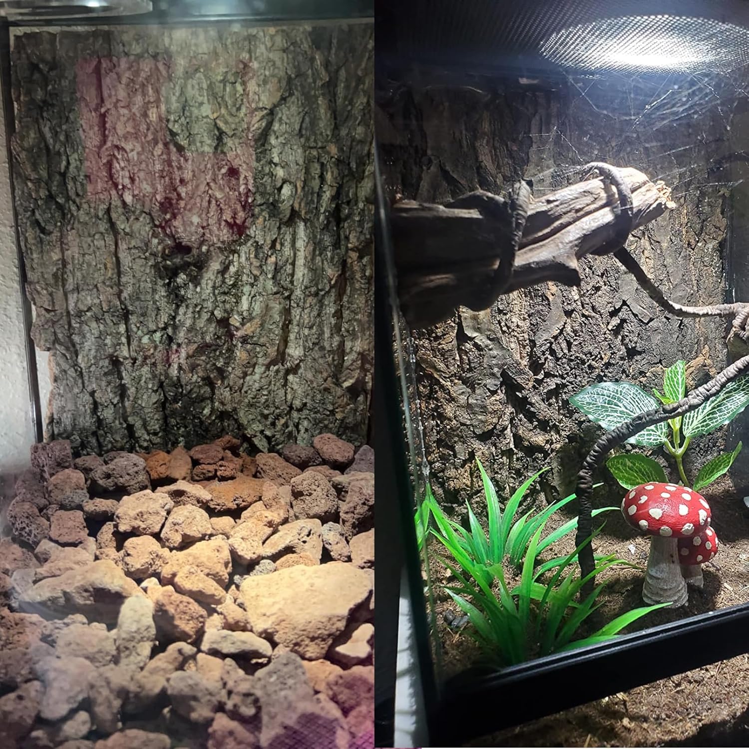 Tfwadmx 2PCS Cork Terrarium Background 11.8"x7.9" Natural Cork Bark Backdrop Reptile Background Climbing Wall Terrarium Accessories for Lizard,Tortoise,Gecko,Bearded Dragon,Chameleon - Image 9