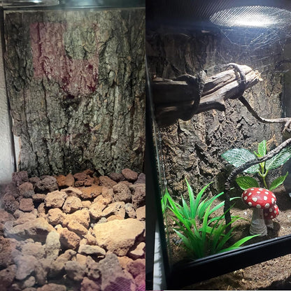 Tfwadmx 2PCS Cork Terrarium Background 11.8"x7.9" Natural Cork Bark Backdrop Reptile Background Climbing Wall Terrarium Accessories for Lizard,Tortoise,Gecko,Bearded Dragon,Chameleon - Image 9