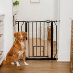 Carlson Pet Products extra wide dog gate front view installed in doorway