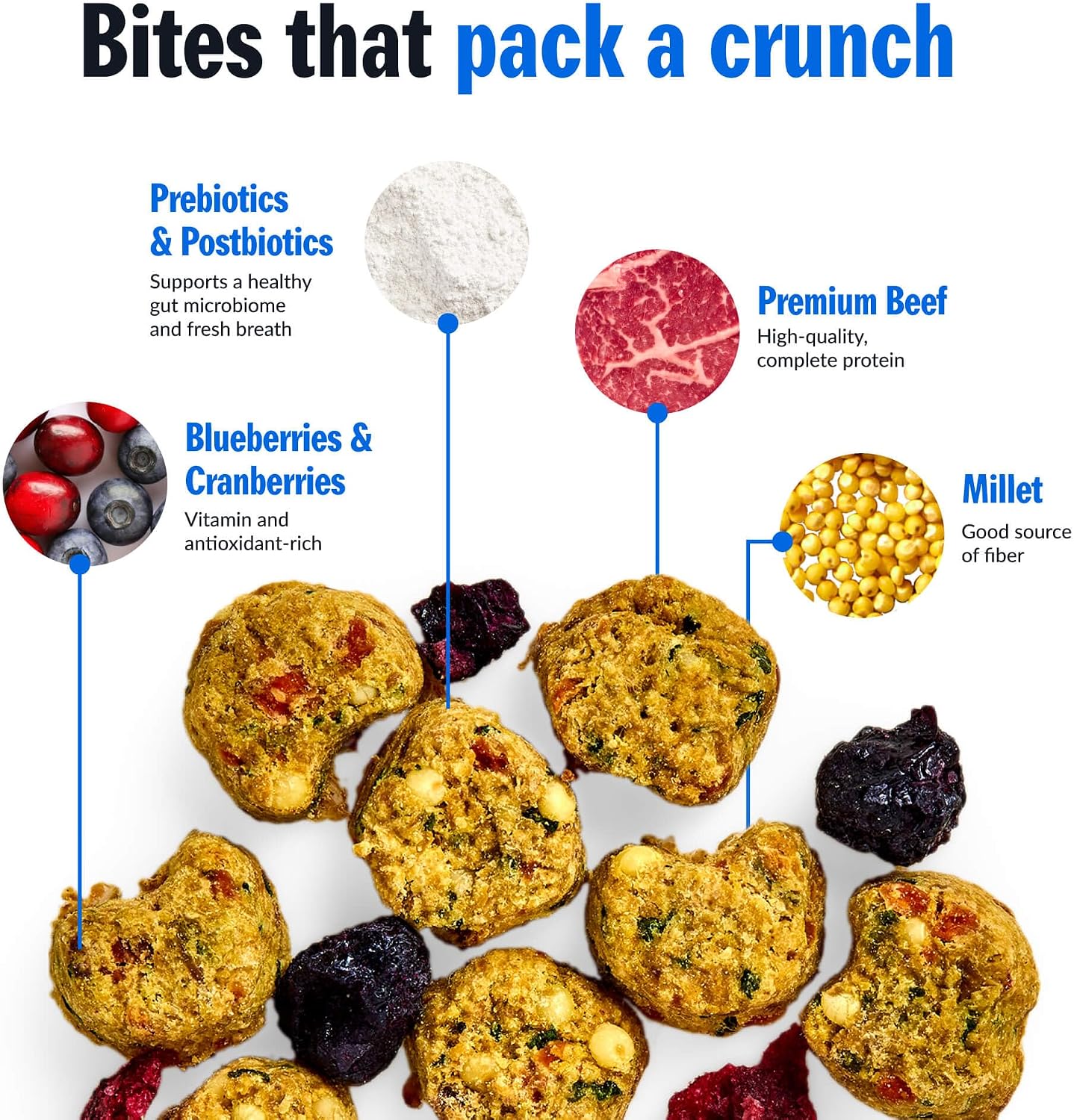 PetPlate grain inclusive premium beef dry dog food for all breeds