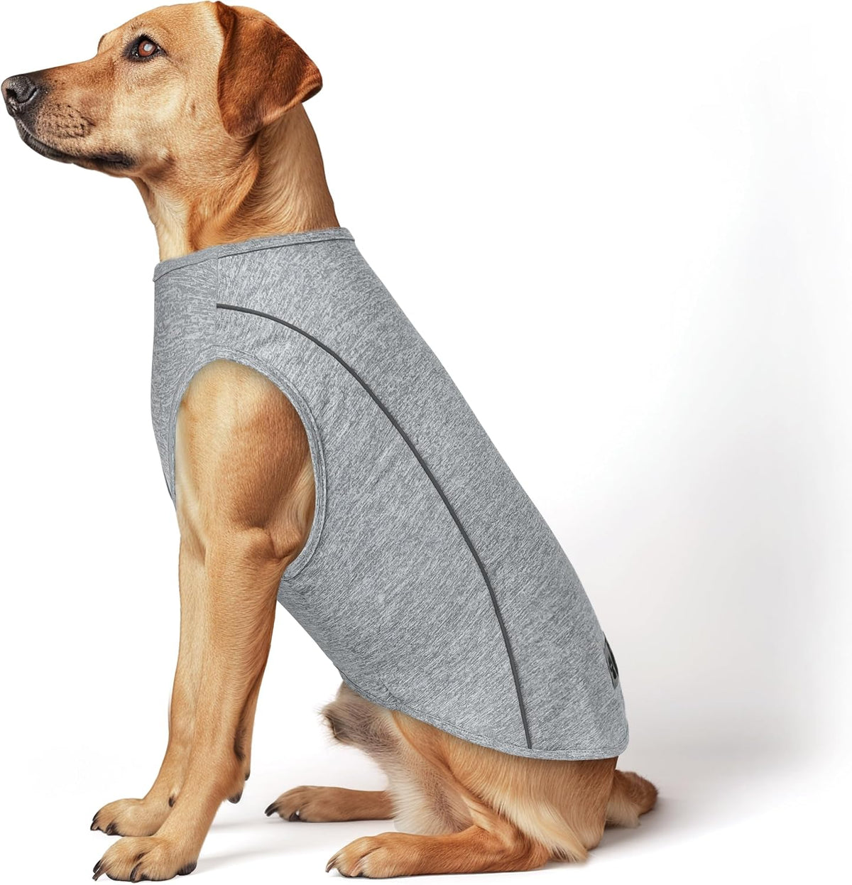 KYEESE Reflective Dog Shirt, Lightweight Sun Protection Dog T Shirts for Small Dogs Boy, Breathable Sleeveless Pet Tank Top High Visibility Summer Dogs Clothes for Night Walking Outdoor, Blue, M - Image 11