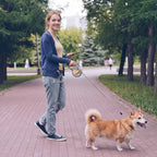 Amesuspes puppy leash held by hand showing comfortable grip design