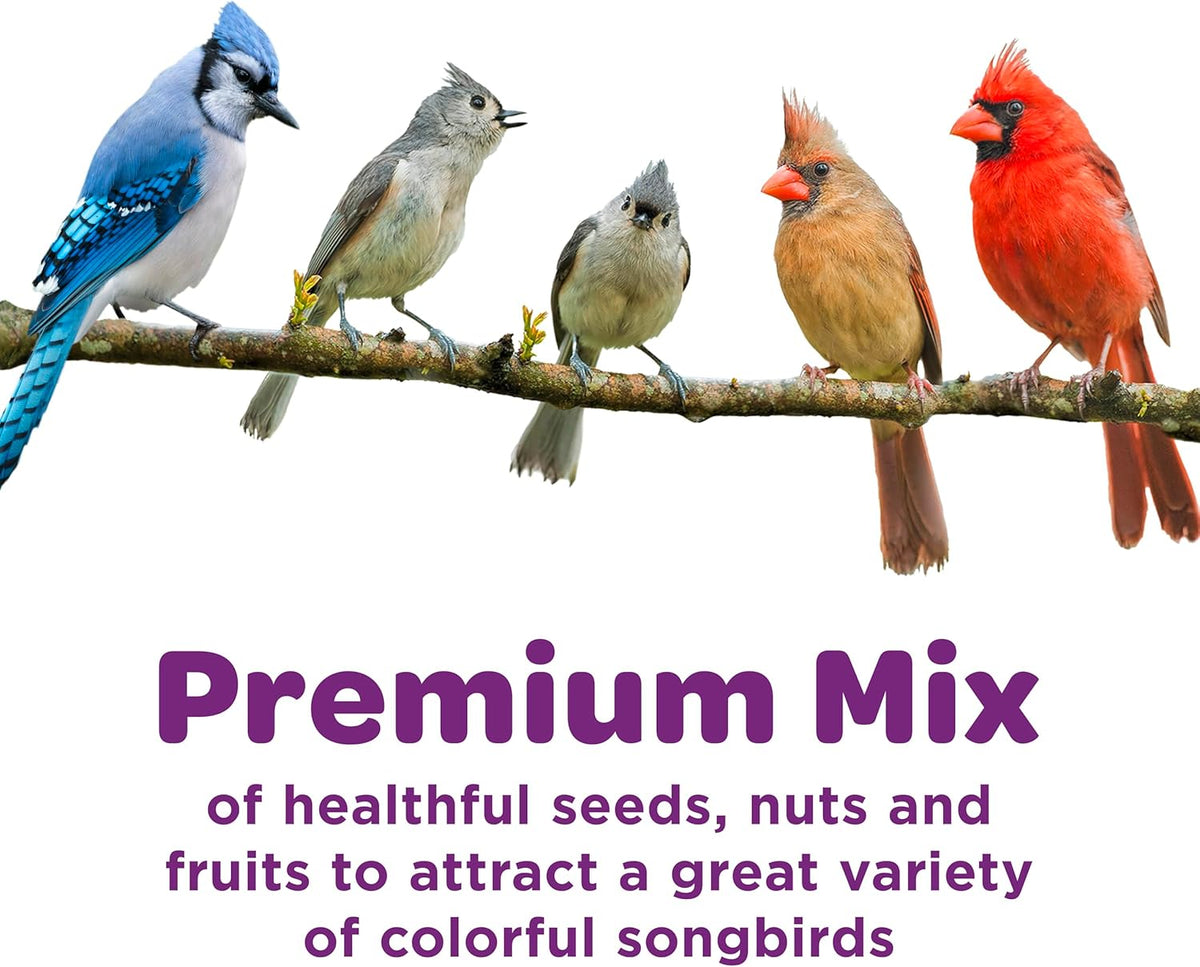 Close up view of sunflower seeds, peanuts, and cherries in bird food mix