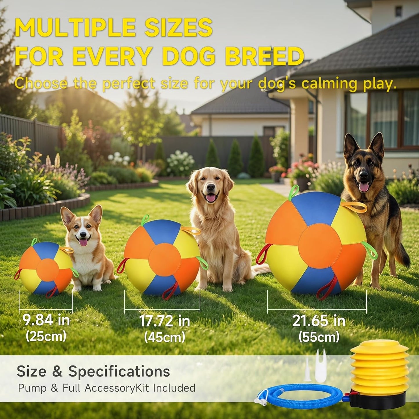 Australian Shepherd playing with PawWorn jumbo herding ball