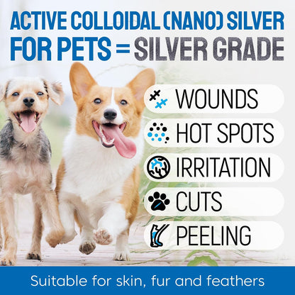 SILVER GRADE colloidal silver spray for dog hot spots and rashes