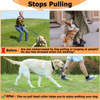 Barkless head collar side profile on dog