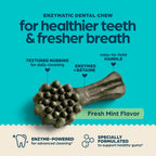 Chewsday dog dental treats close up highlighting the textured nubbins and easy-to-hold handle design