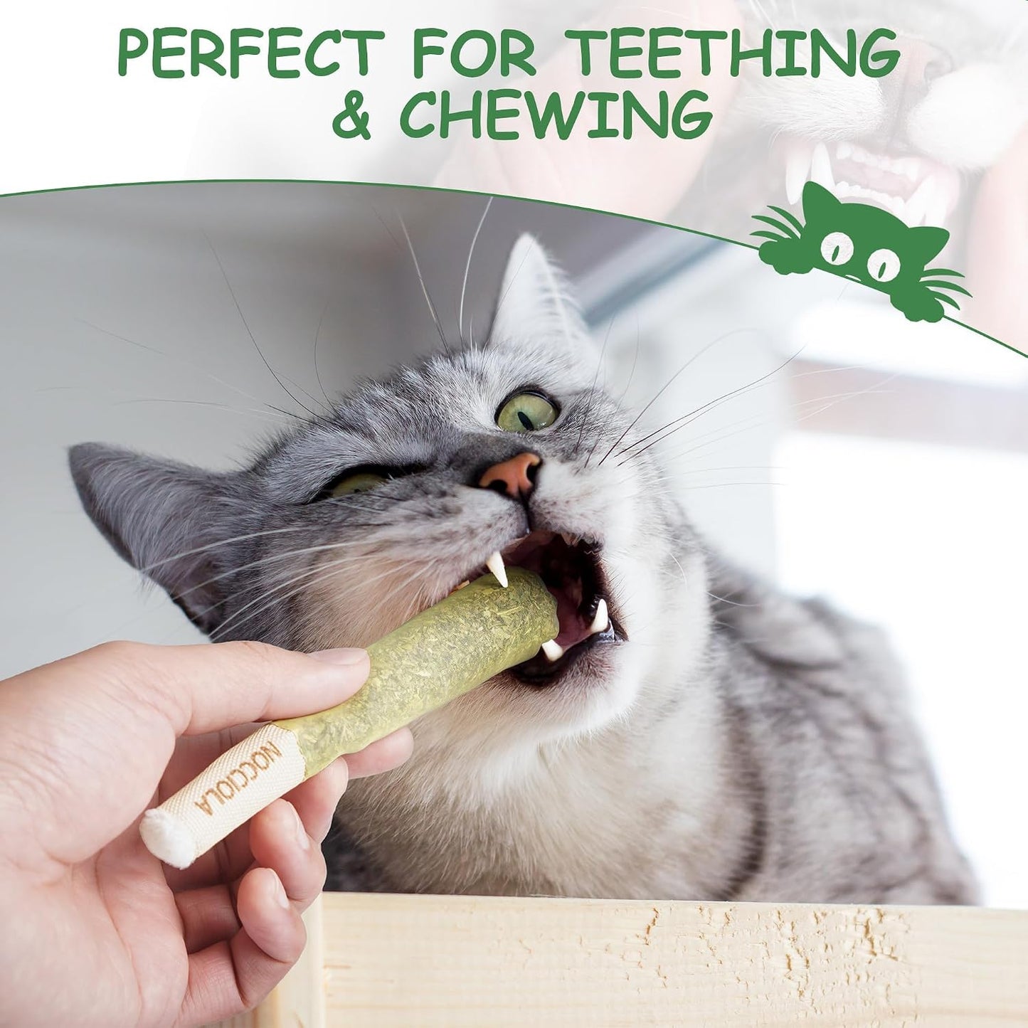 Cat engaging with Nocciola organic catnip toy