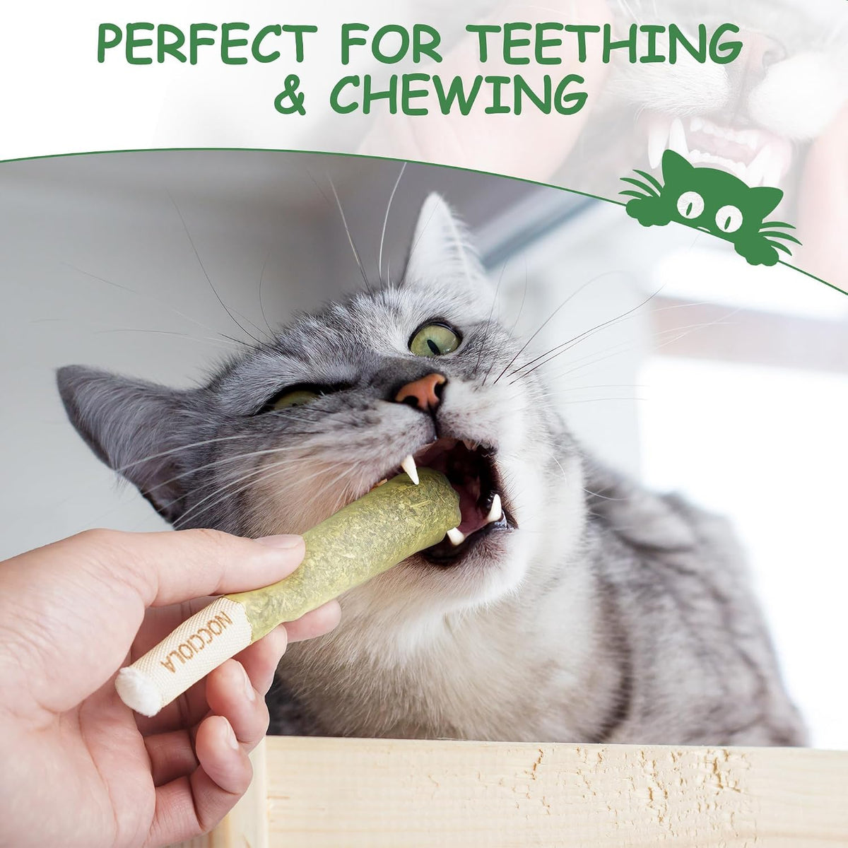 Cat engaging with Nocciola organic catnip toy