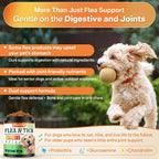 Puyrzoe beef flavored dog supplement for skin and coat care