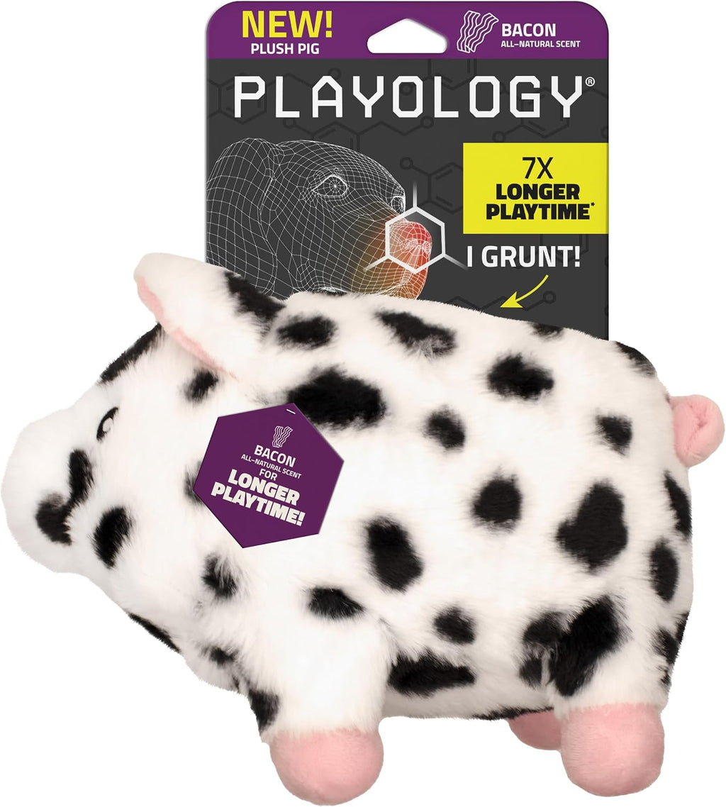 Playology Dog Toys | Plush Hen Stuffed Animal for Dogs | Chicken Scented Medium Toy that Clucks | Plush Chew Toy for Dogs - Image 10