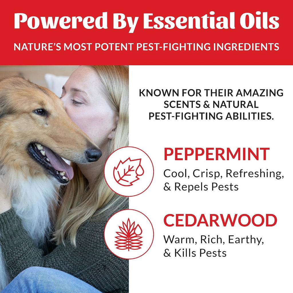 Natural flea tick and mosquito repellent dog shampoo details