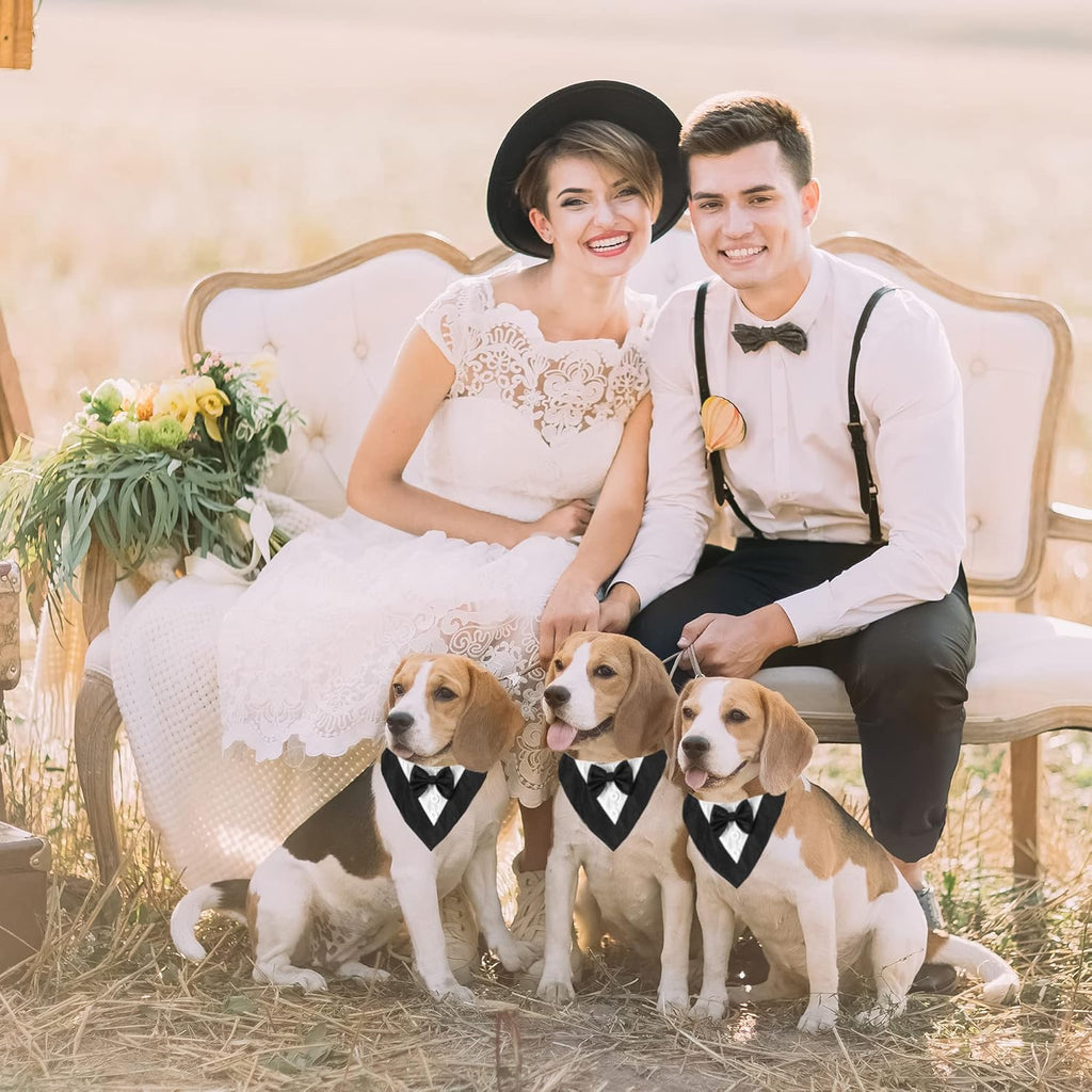 Adjustable dog tuxedo outfit for medium dogs back strap view