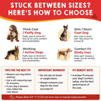 Pelto service animal identification kit with two sided engraved metal tag.