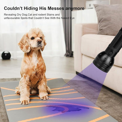 Whaply ultraviolet pet urine detector illuminating dry stains on a living room carpet.