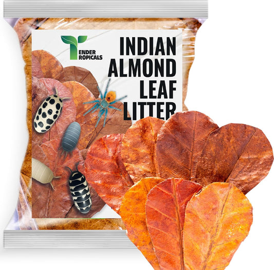 Tender Tropicals Indian Almond leaf litter 80 piece pack front view
