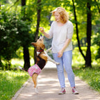 Premium material layers of imported pet soft incontinence diapers