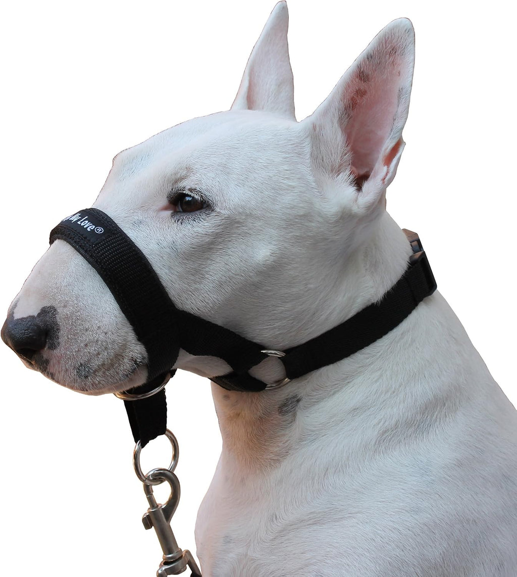 Adjustable no pull nylon dog halter training leash attachment detail