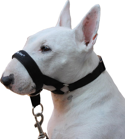 Adjustable no pull nylon dog halter training leash attachment detail