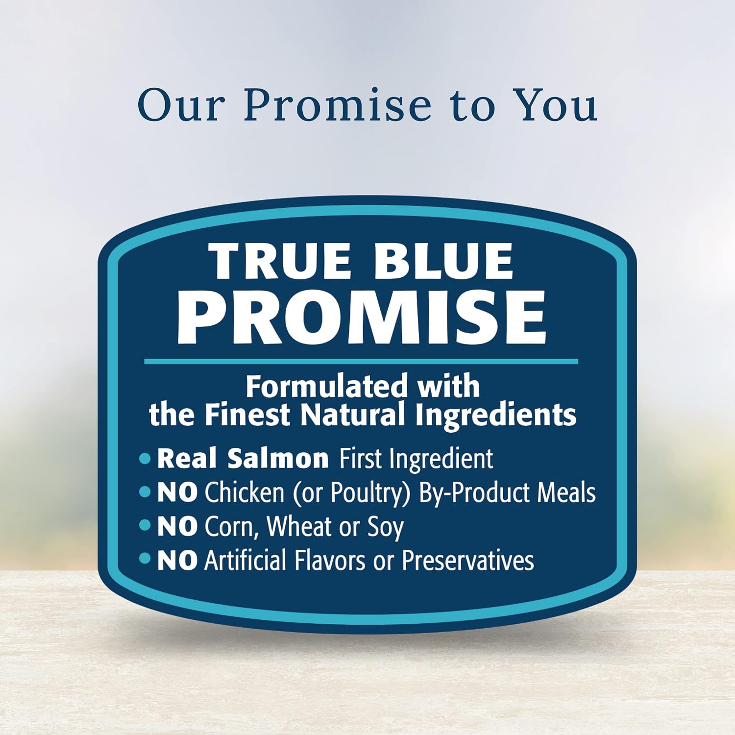 Blue Buffalo Basics wet dog food topper 2.5 ounce pouch packaging