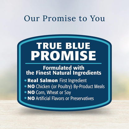 Blue Buffalo Basics wet dog food topper 2.5 ounce pouch packaging