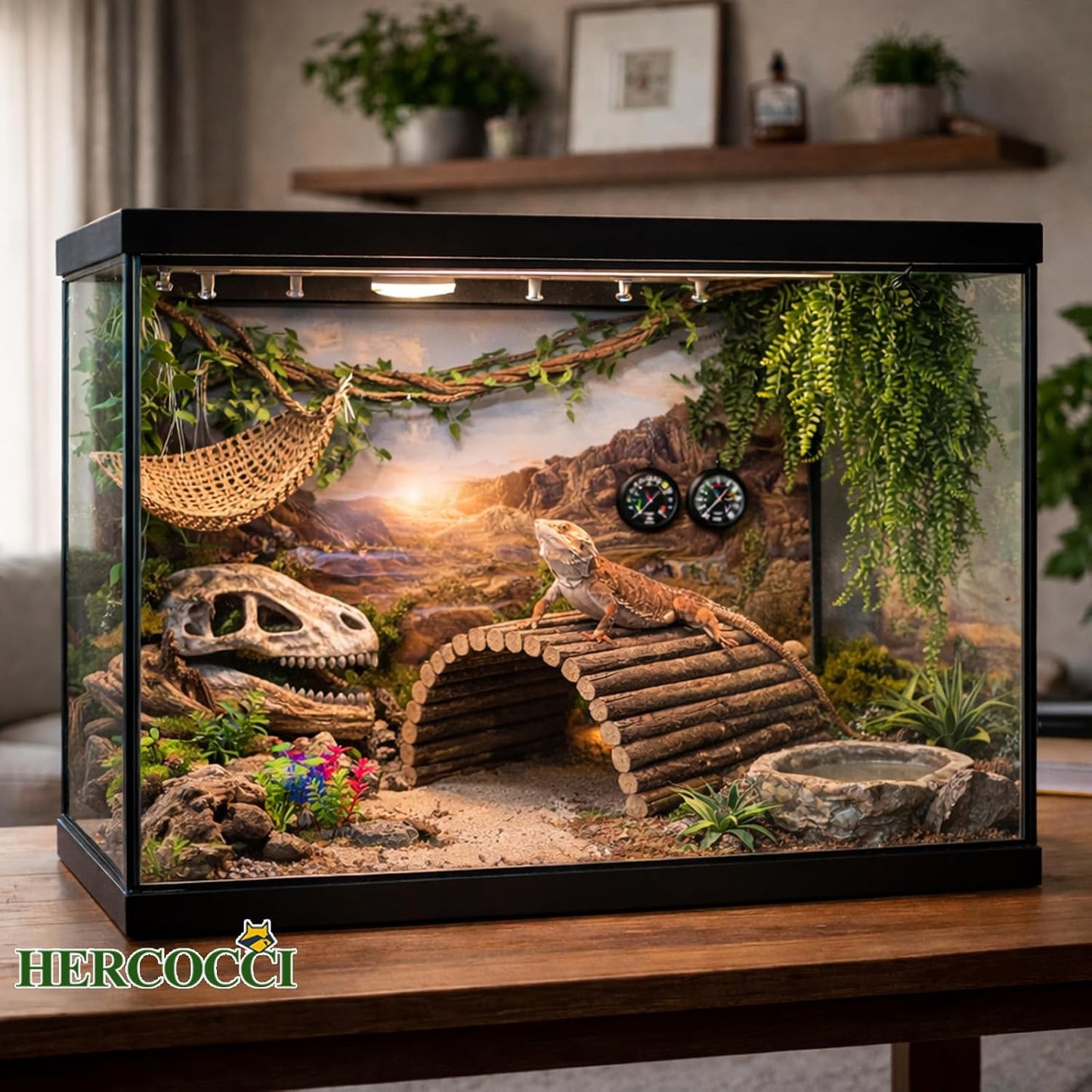 Close up of suction cup installation on terrarium glass